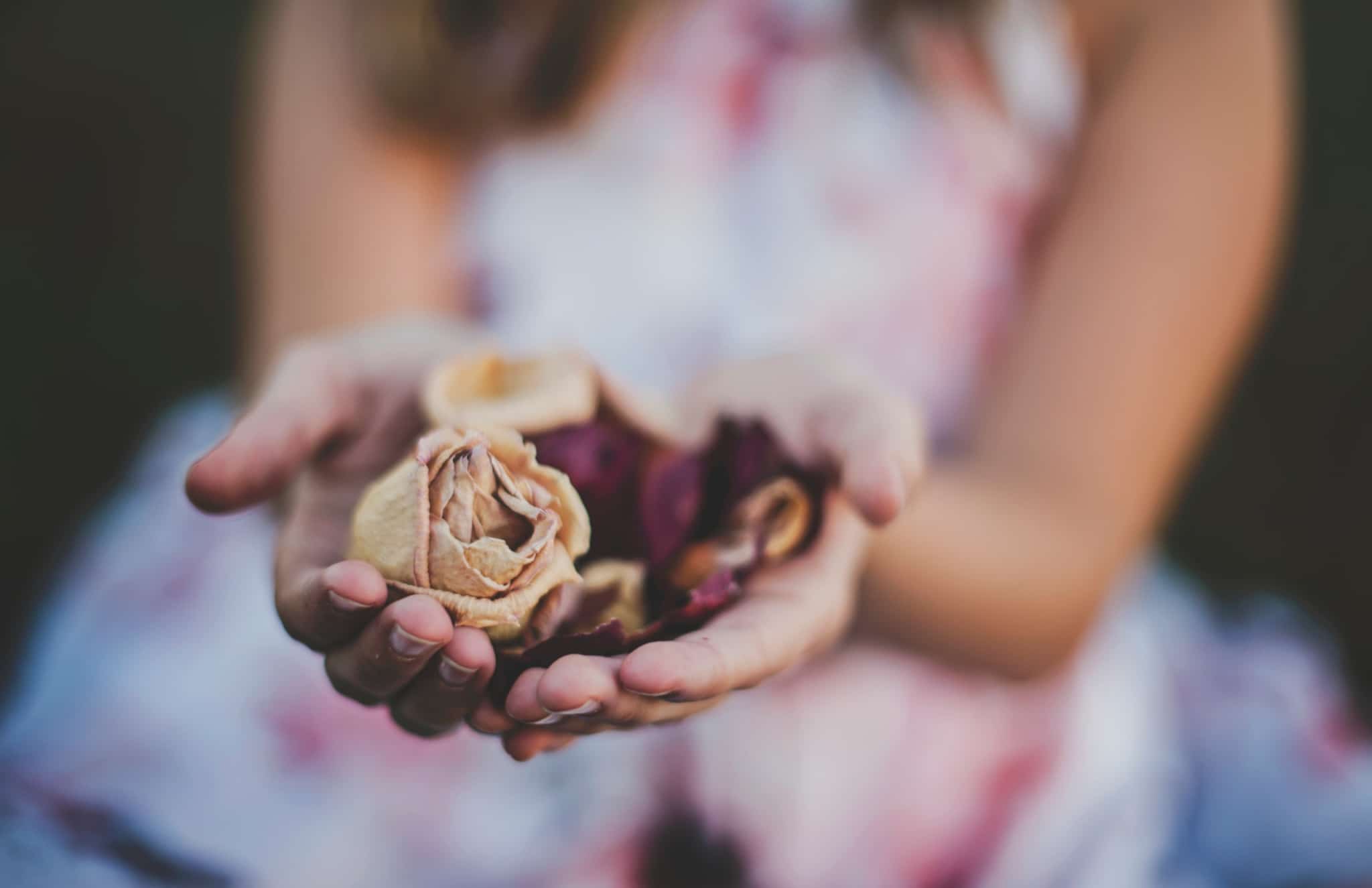 Indulging in Sweet Treats